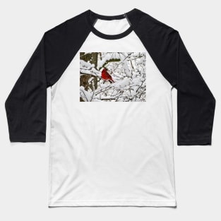 Winter Cardinal 3 Baseball T-Shirt